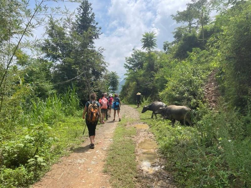 Bao Lac Homestay Hostel image
