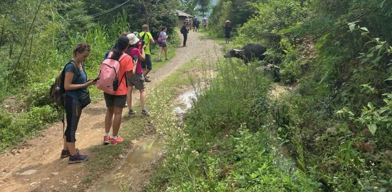 Bao Lac Homestay Hostel image