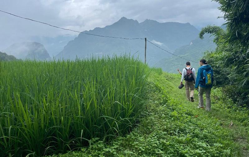 Bao Lac Homestay Hostel image