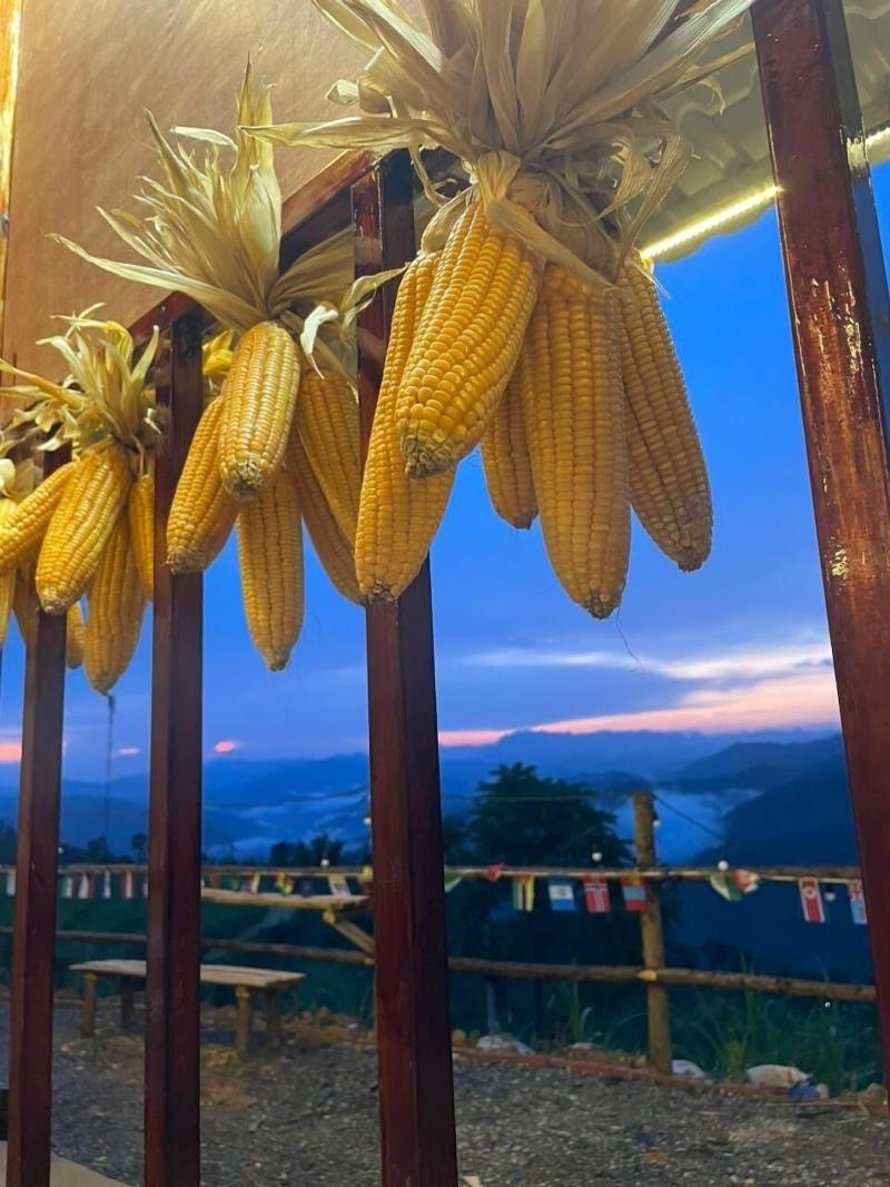 Bao Lac Homestay Hostel