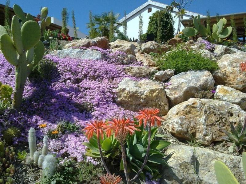 Bed Breakfast Casa Don Carlos image