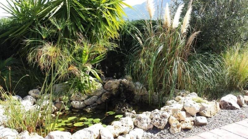Bed Breakfast Casa Don Carlos image