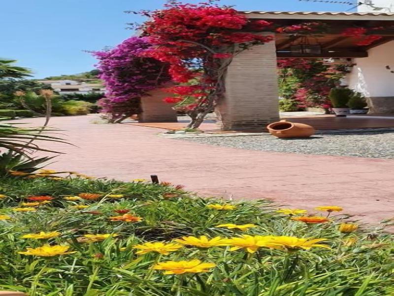 Bed Breakfast Casa Don Carlos image