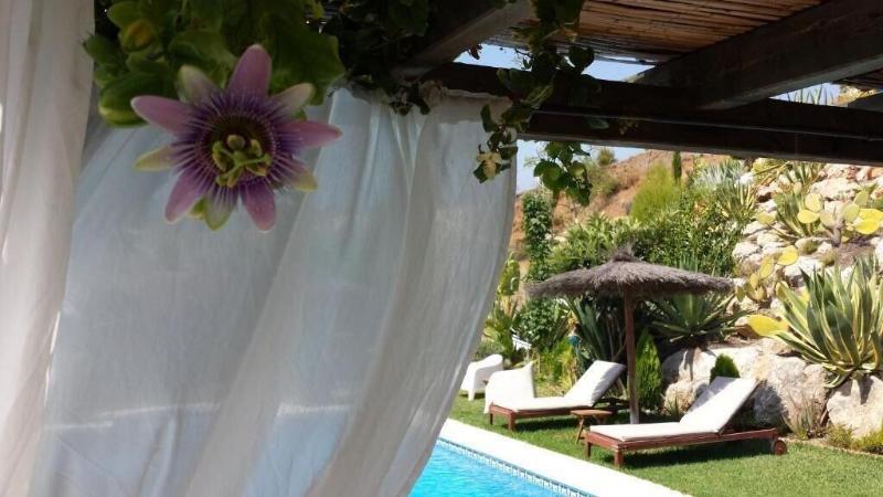 Bed Breakfast Casa Don Carlos image