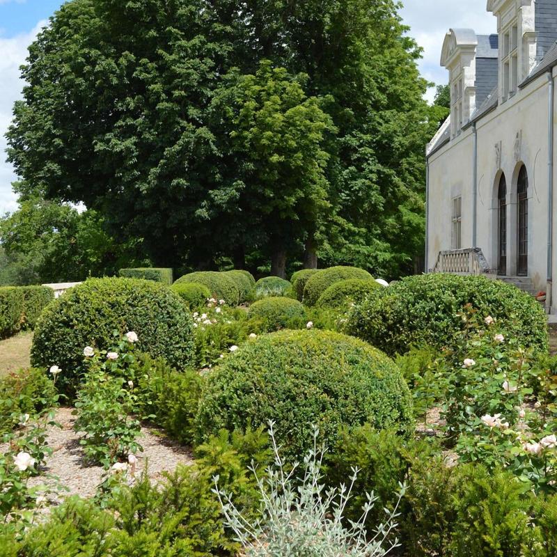 Cha Teau Louise De La Vallia Re — general view