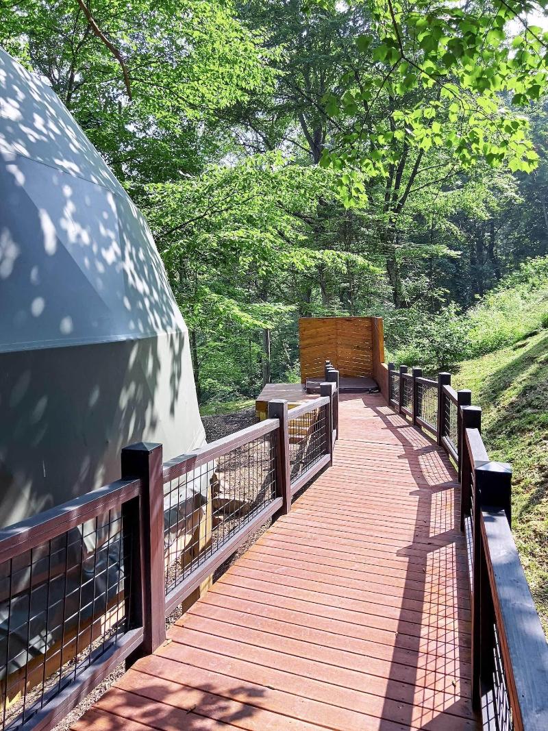 The Glamping Collective image