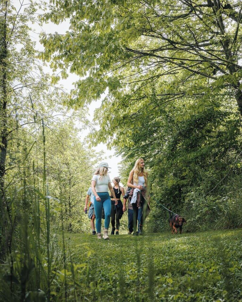 The Glamping Collective image