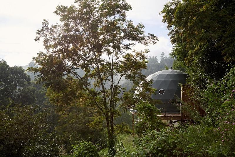 The Glamping Collective image