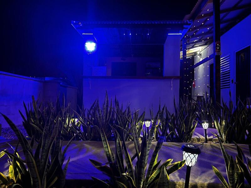 Royal Rat Hostel image