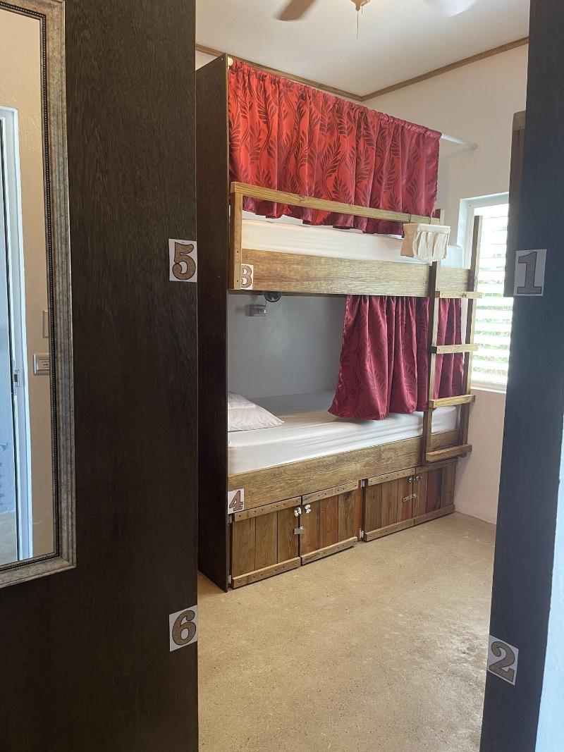 Royal Rat Hostel image