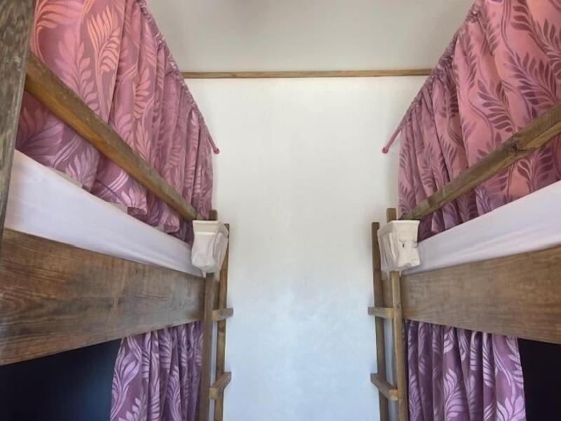 Royal Rat Hostel image