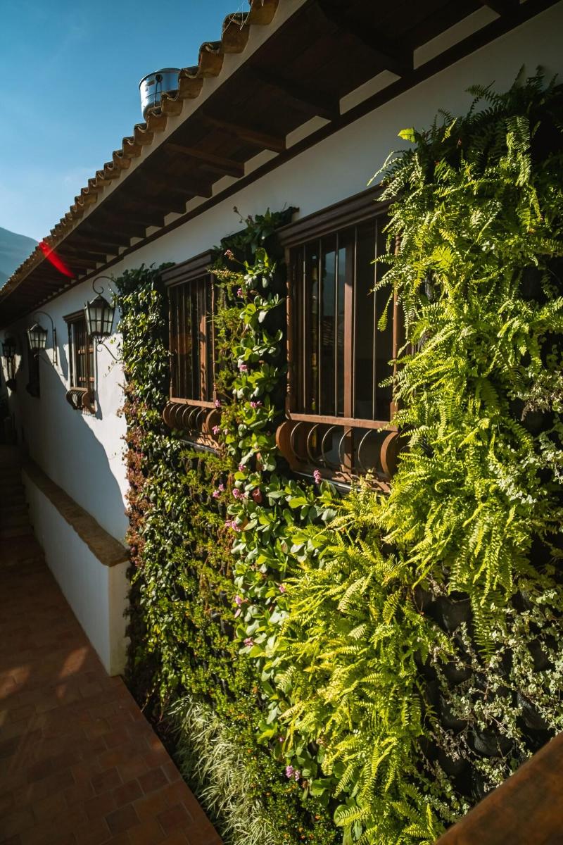 Hotel Alcestre — photo 4