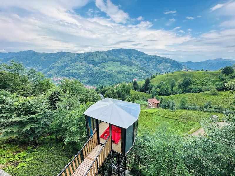 Organikkoy Bungalov image
