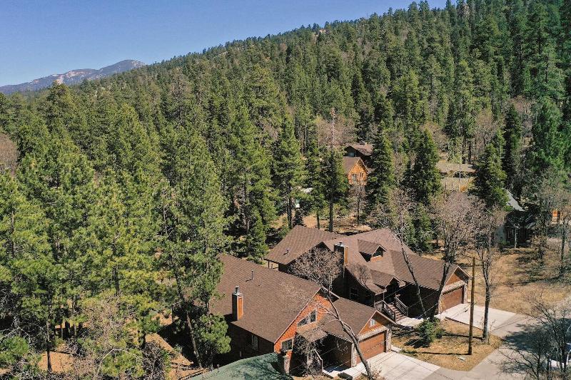 Teddy By Avantstay Majestic Cabin In Big Bear W B image