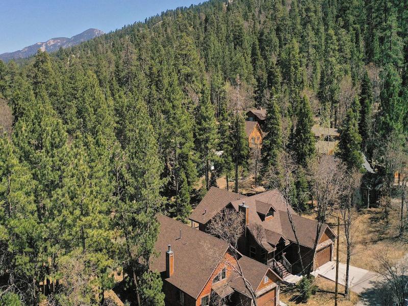 Teddy By Avantstay Majestic Cabin In Big Bear W B image
