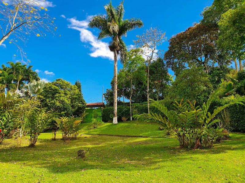 Tree House Finca La Floresta Verde image
