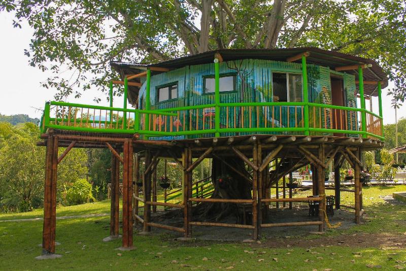 Tree House Finca La Floresta Verde image