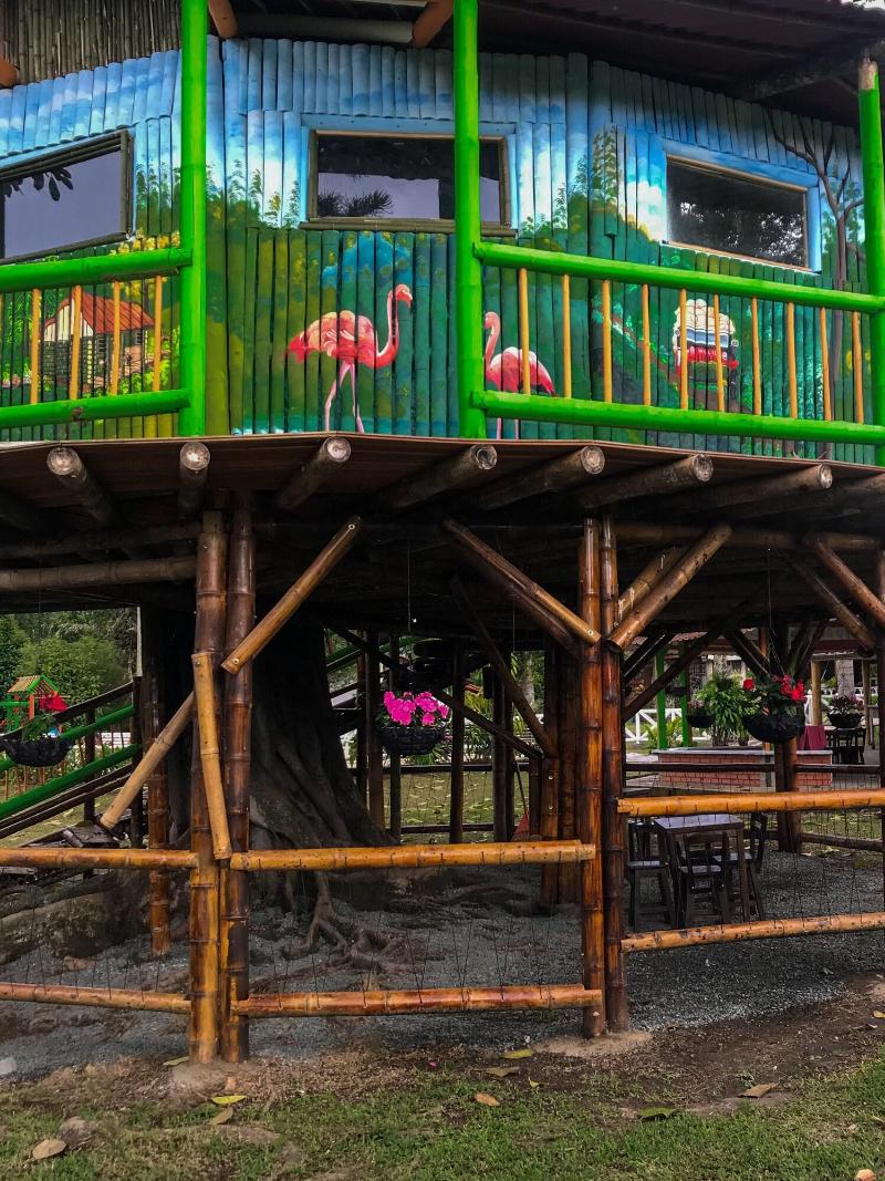 Tree House Finca La Floresta Verde image