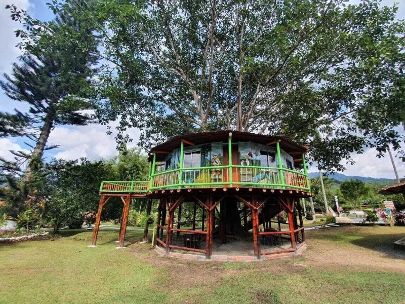 Tree House Finca La Floresta Verde image