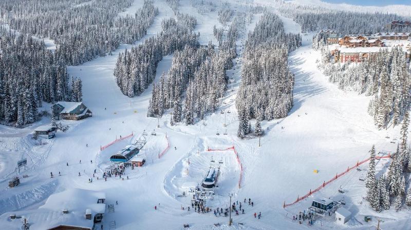 Bear S Paw Chalet Amazing Location Ski In Out