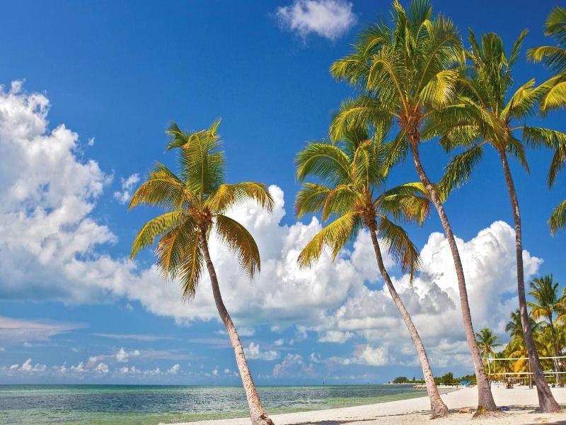 Paradise Place By Avantstay Key West Old Town Cond