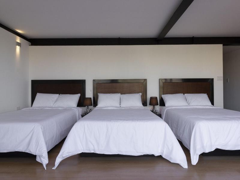 El Doce By Homi Rent image