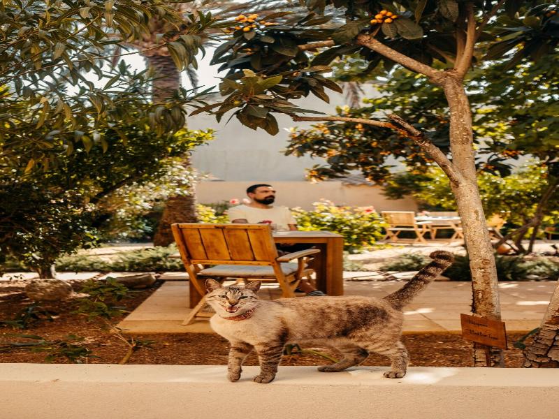 Hotel Boutique Can Pocovi image