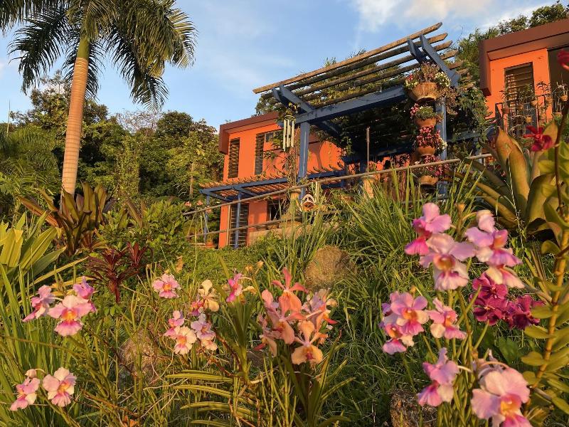 El Pequea O Hotel image