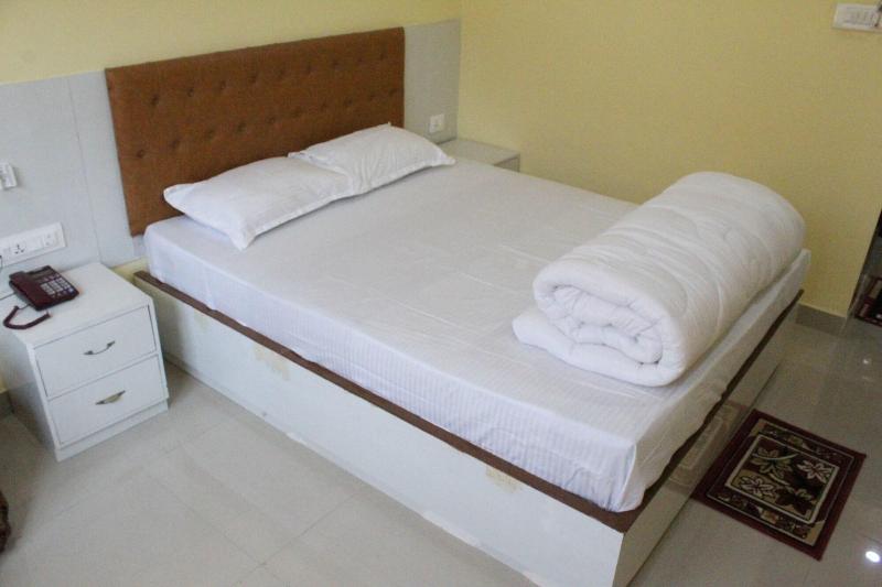 Hotel Raj Mahal image