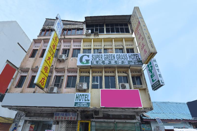 90625 Super Green Grass Hotel