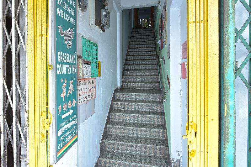90625 Super Green Grass Hotel