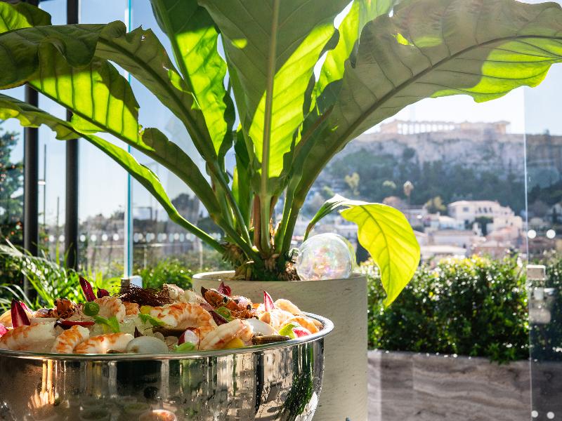 THE DOLLI at Acropolis, A Hotel to Live image