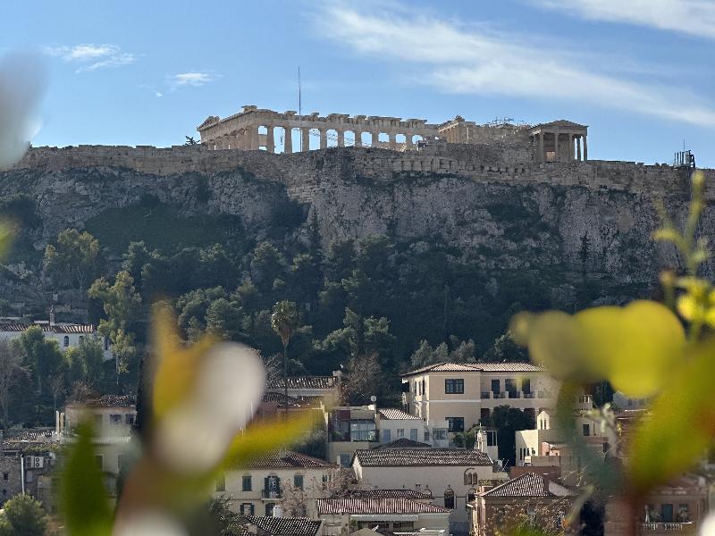 THE DOLLI at Acropolis, A Hotel to Live image
