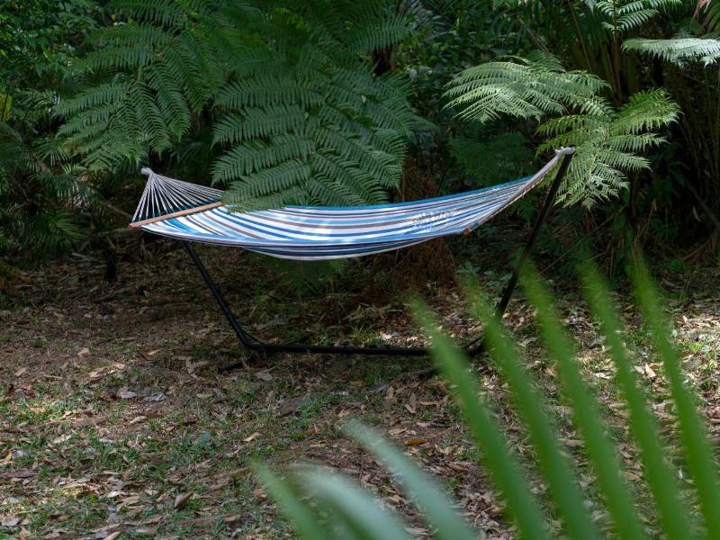 Mist At Cape Tribulation image
