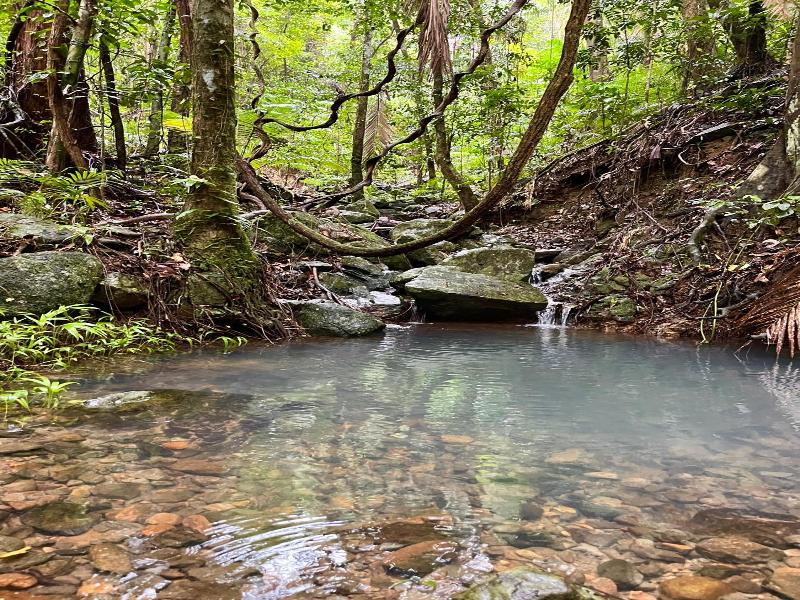 Mist At Cape Tribulation image