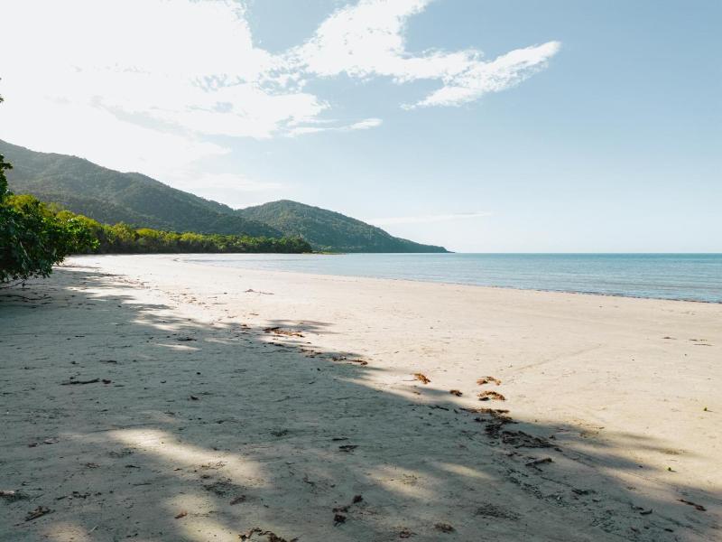 Mist At Cape Tribulation image
