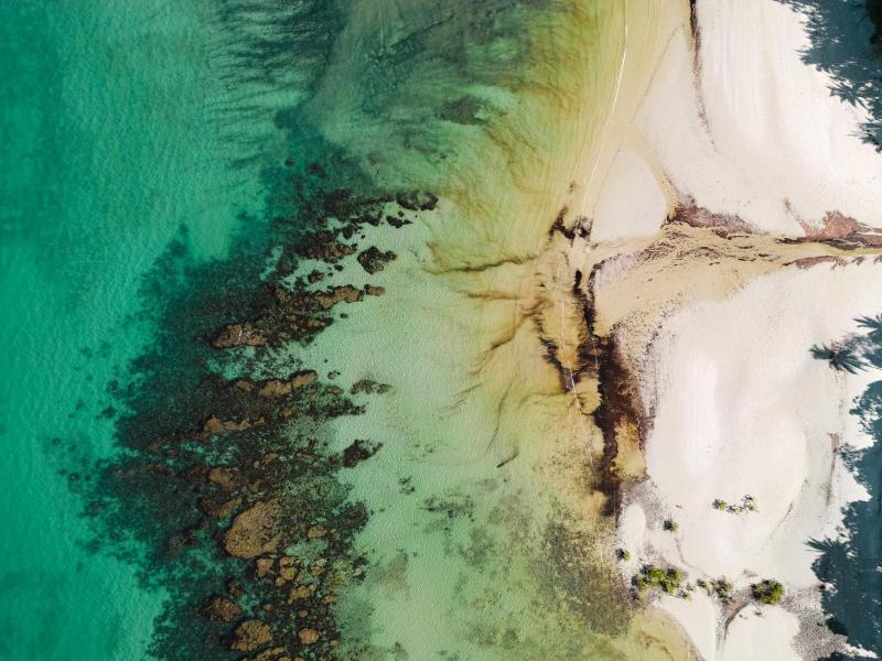 Mist At Cape Tribulation image