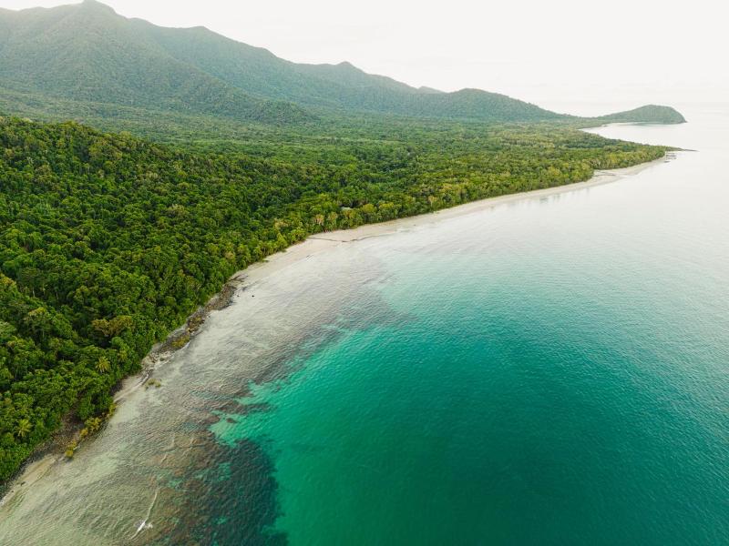 Mist At Cape Tribulation image