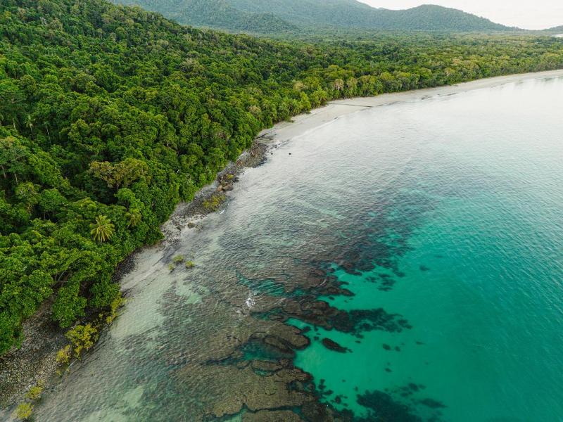 Mist At Cape Tribulation image