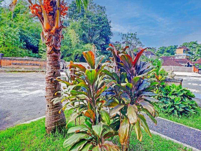 Collection O Bali Near Terminal Ubung  image