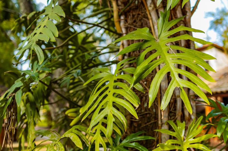 Putini Pousada e Hotel by OYO image