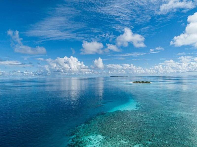 One The Island image