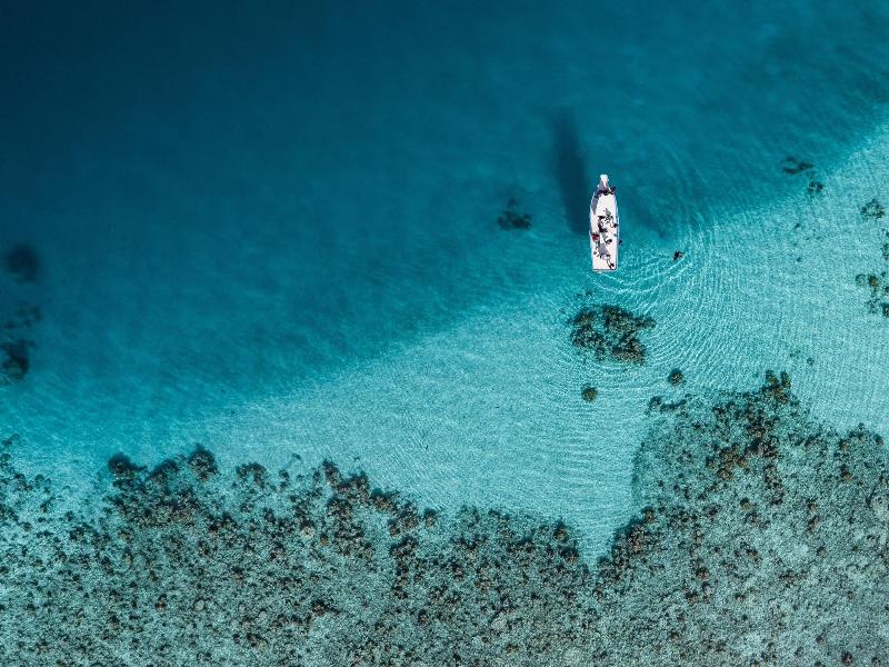 One The Island image