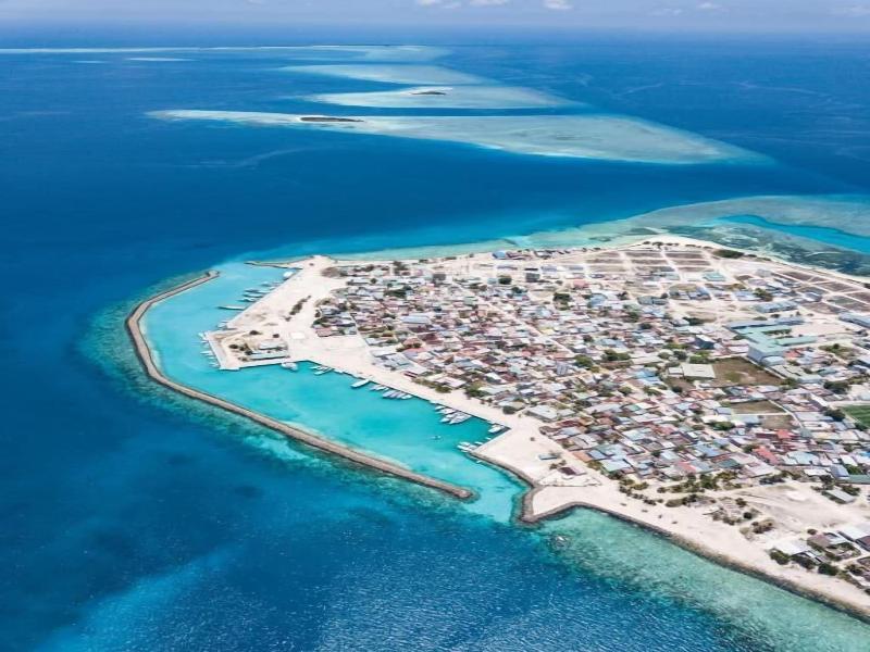 One The Island image