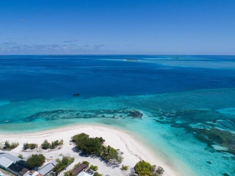 One The Island image