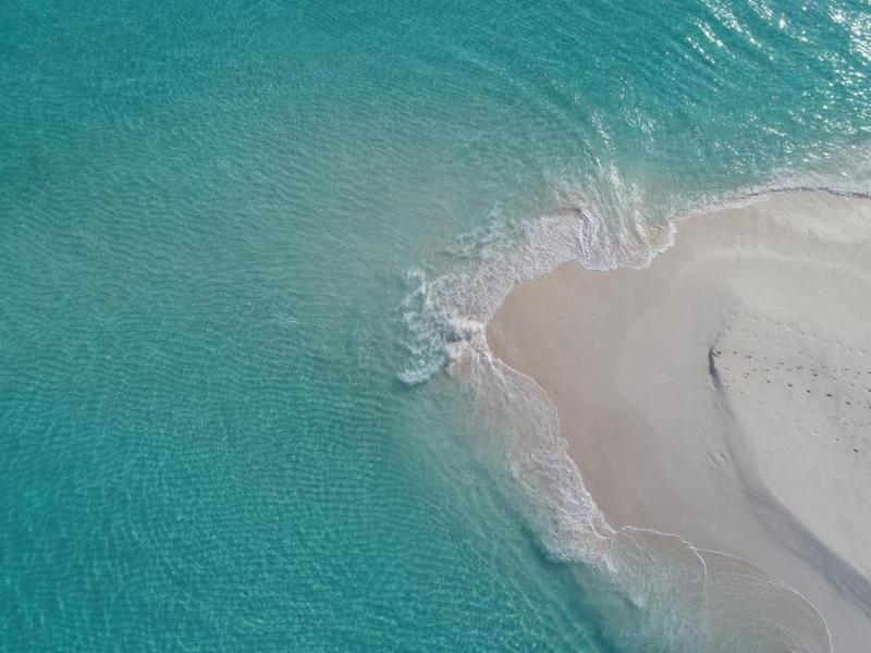 One The Island image