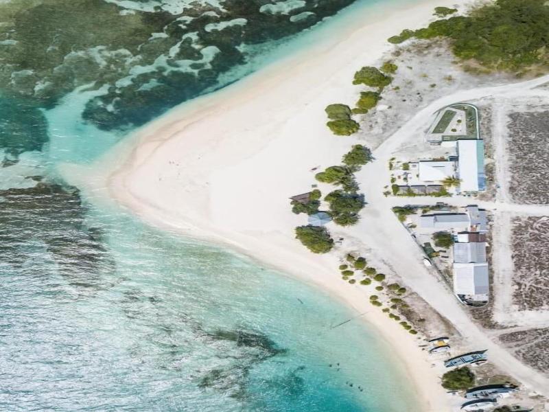 One The Island image