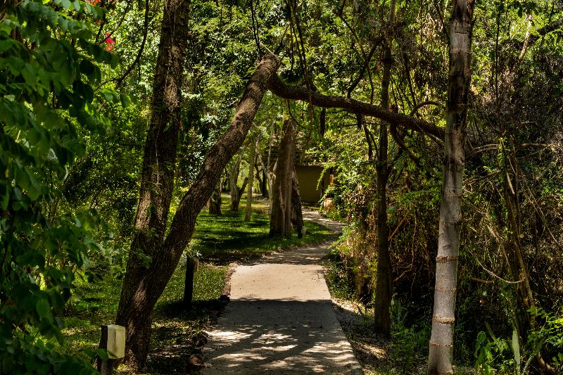 Ichingo Chobe River Lodge by Mantis image