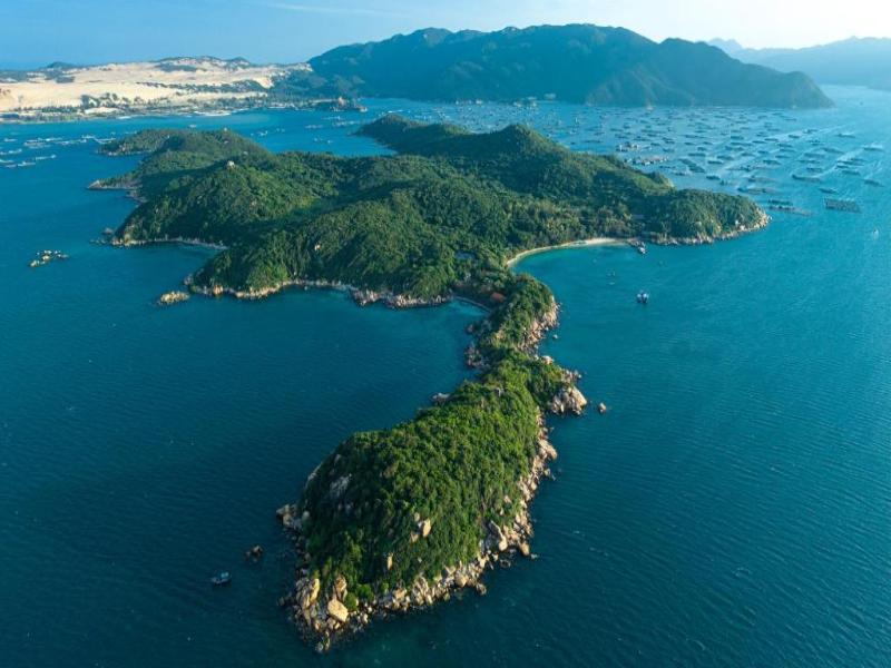 Whale Island Resort image