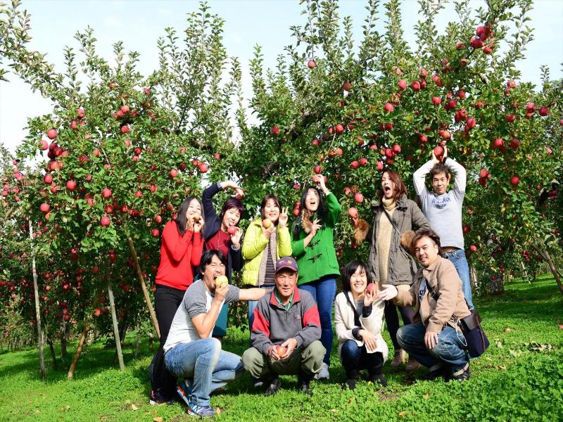 Daichan Farm Guest House image